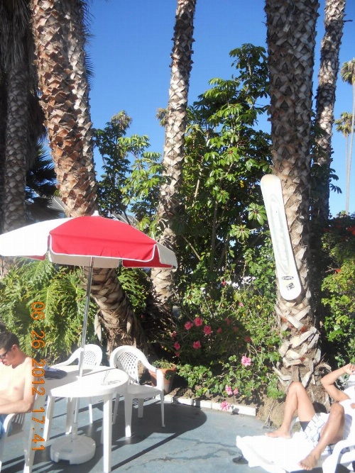 Tradewinds Airport Hotel image 29